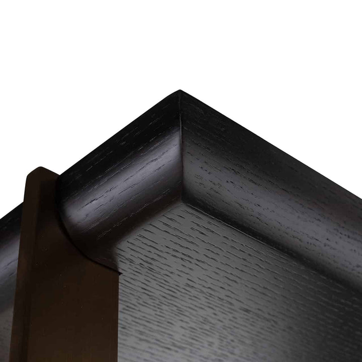 Richmond Interiors Rigley Black Oak Wood & Mirrored Display Unit
