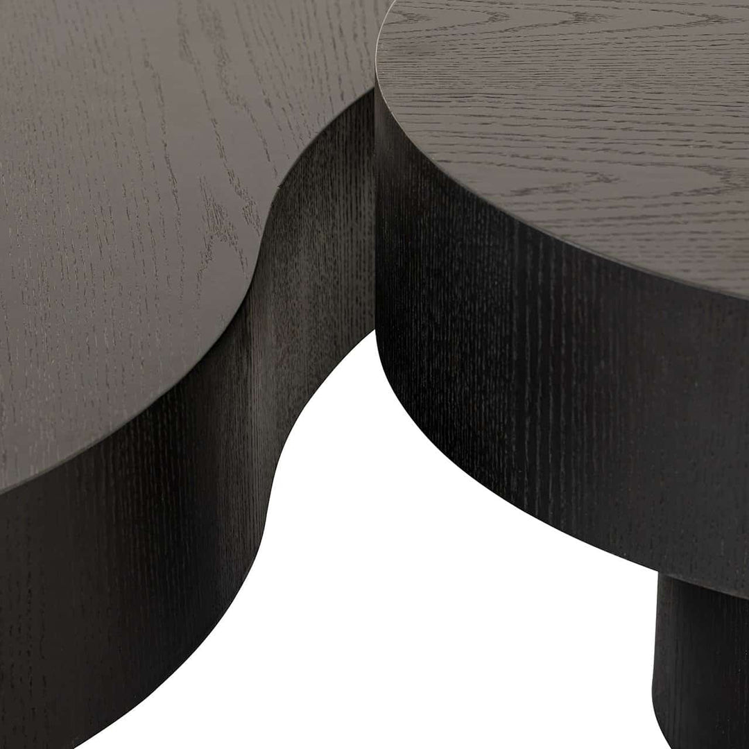 Richmond Interiors Bogor Black Oak Wood Coffee Table | Set Of 2